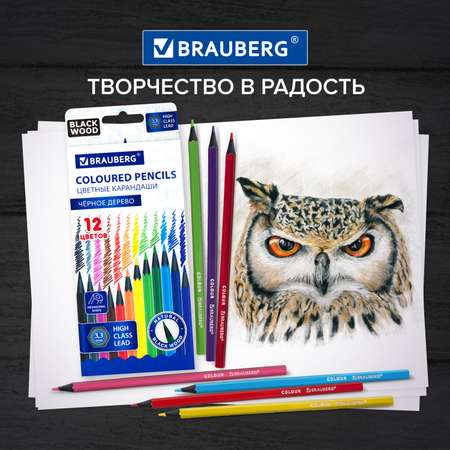 Карандаши цветные Brauberg для рисования набор 12 цветов деревянные трехгранные