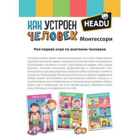 Игра настольная развививающая HEADU Как устроен человек для детей с 3 лет