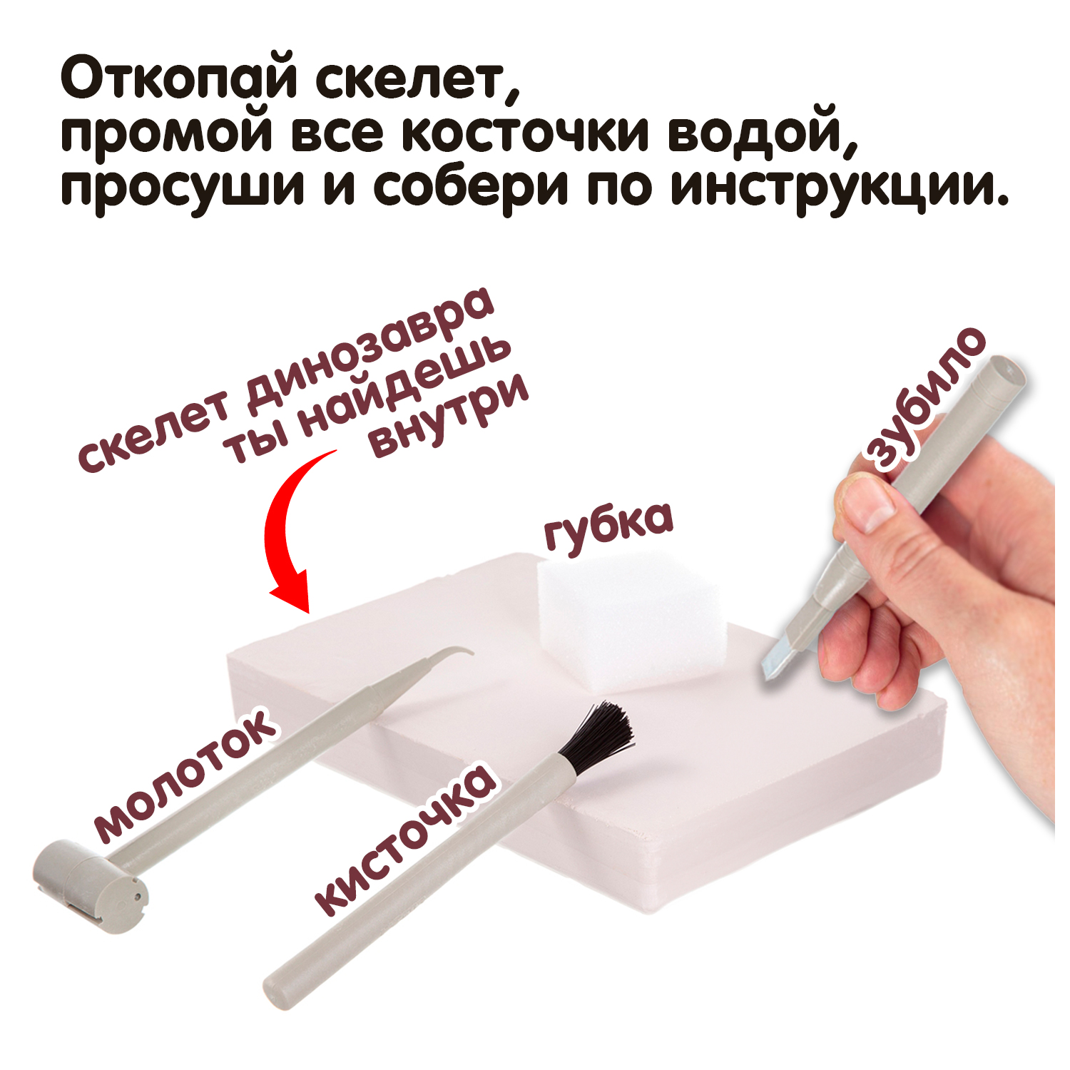 Исторические раскопки BONDIBON Брахиозавр светящийся в темноте серия Науки с Буки - фото 4