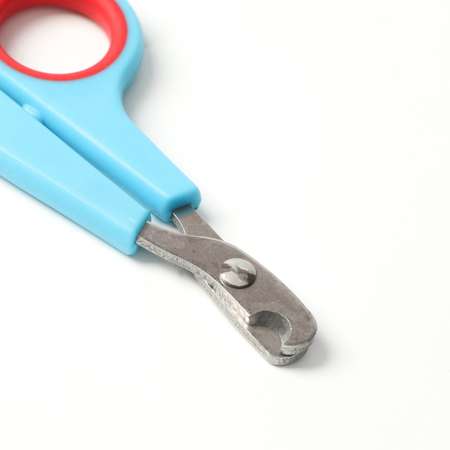 Набор по уходу за когтями Пижон ножницы-когтерезы отверстие 6 мм и пилка сине-красный