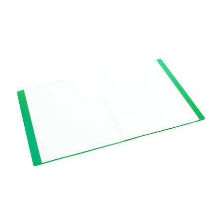 Папка с 40 файлами А4 Консул пластик 0.65 мм цвет зеленый