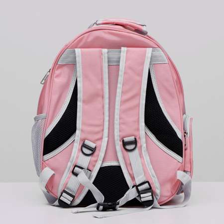 Рюкзак для переноски животных Пижон прозрачный 31х28х42 см розовый