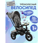 Велосипед трехколесный ZigZag LUX серый