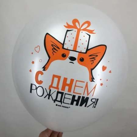 Воздушные шары Riota латексные Корги С Днем рождения 30 см набор 10 шт
