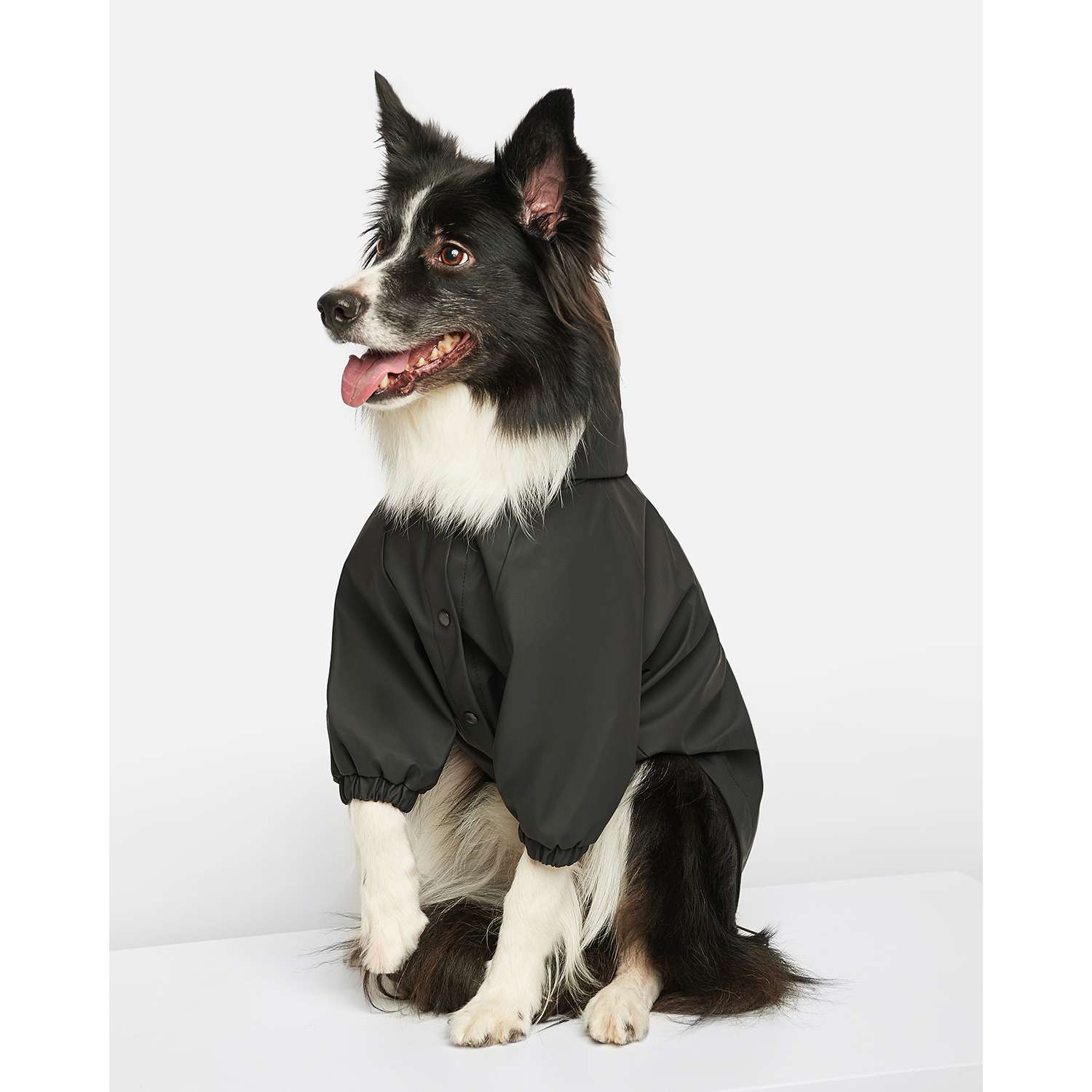 Дождевик-куртка для собак Zoozavr чёрный 50 - фото 1