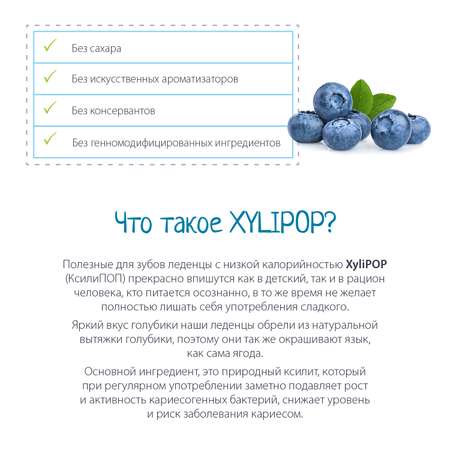 Леденцы на палочке miradent Xylipop без сахара со вкусом голубики 50шт.