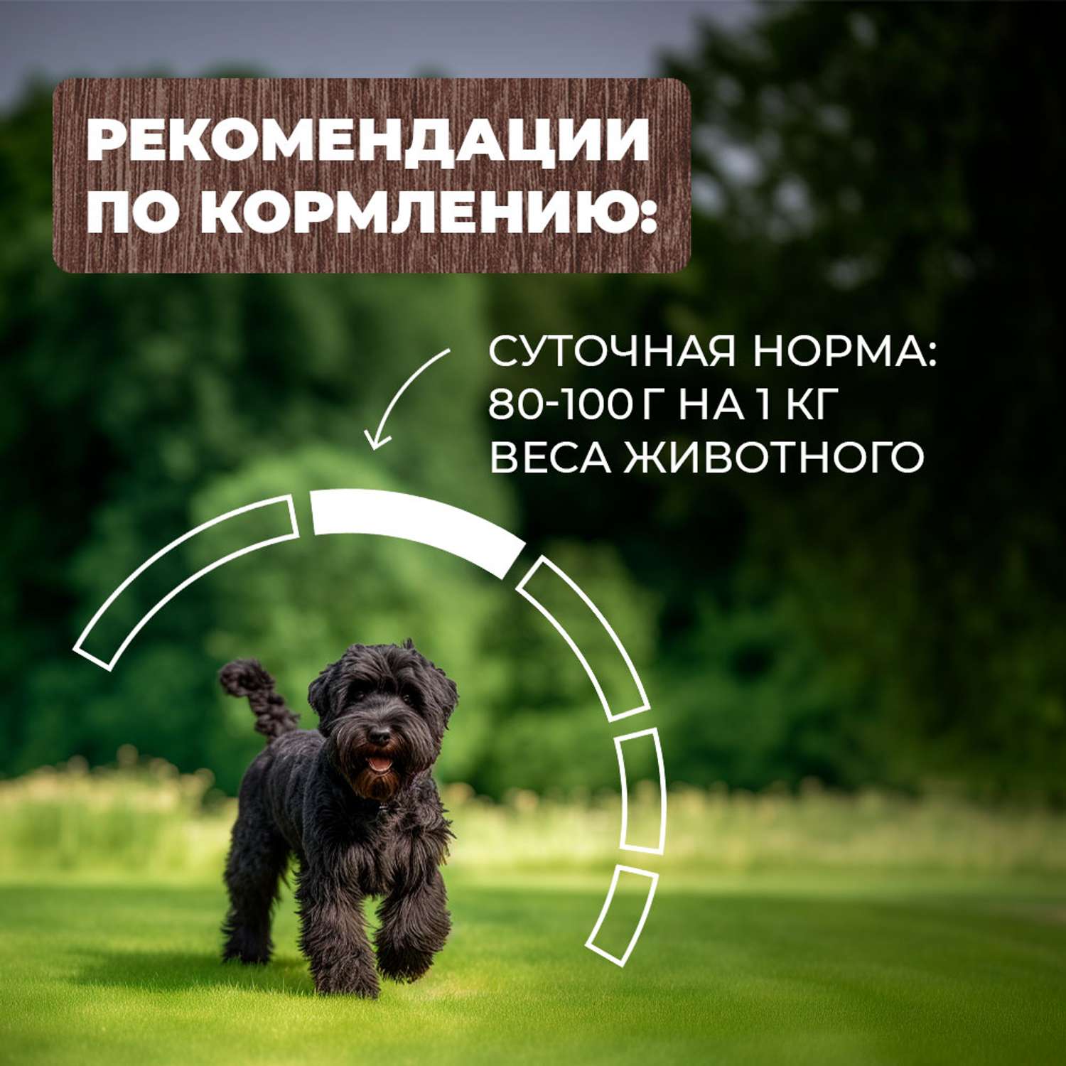 Корм для собак Родные корма По-старорусски гусиные кусочки в соусе 410г - фото 5