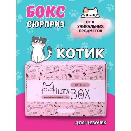 Подарочный бокс для девочки iLikeGift котик