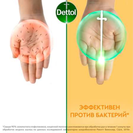 Мыло для рук Dettol антибактериальное Бодрящая свежесть с экстрактом грейпфрута 250 мл