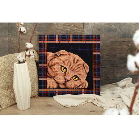 Кристальная мозаика Фрея ALBP-293 постер Шотландская кошка 30 х 30 см