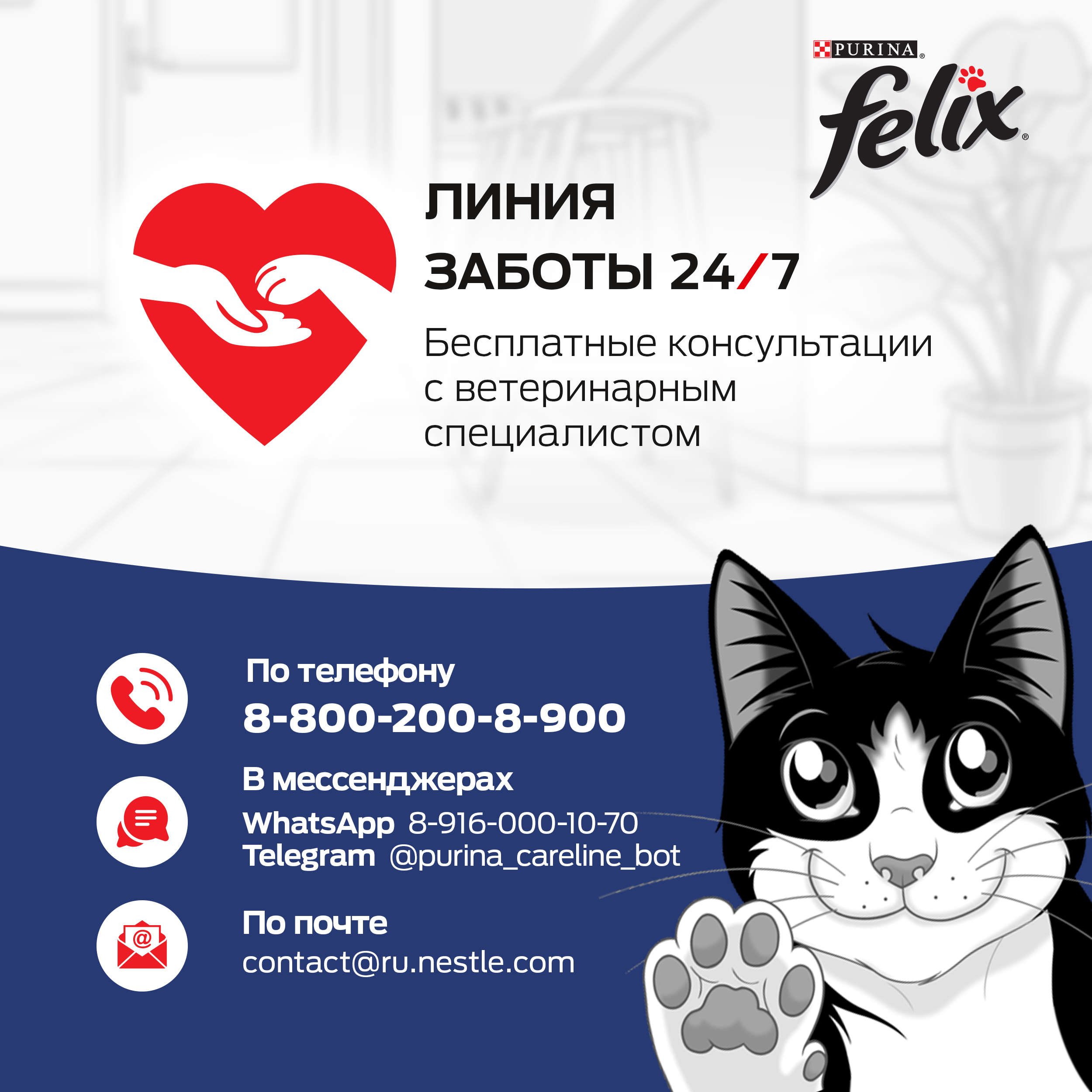 Влажный корм для кошек Felix 0.048 кг ягненок (для домашних, полнорационный) - фото 9