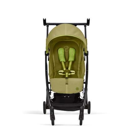 Коляска Cybex Libelle Nature Green с дождевиком