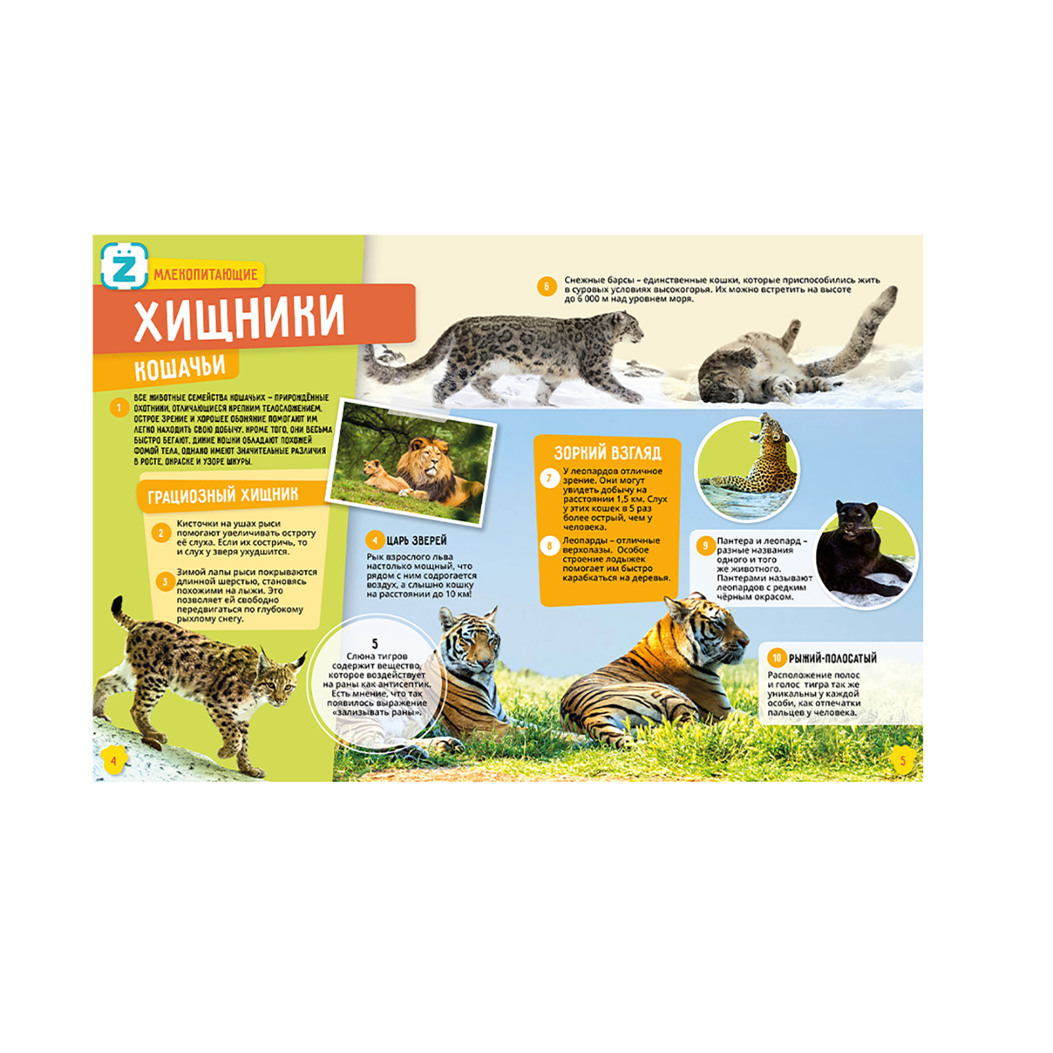Энциклопедия KidZlab в дополненной реальности Животные 250 невероятных фактов - фото 6