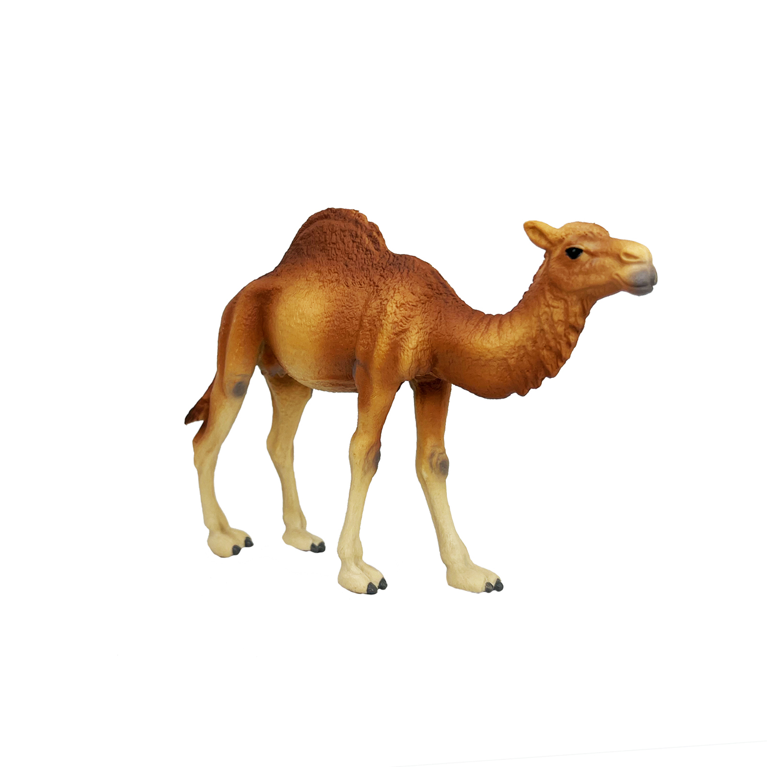 Фигурка животного Детское Время Одногорбый верблюд породы Дромадер - фото 6