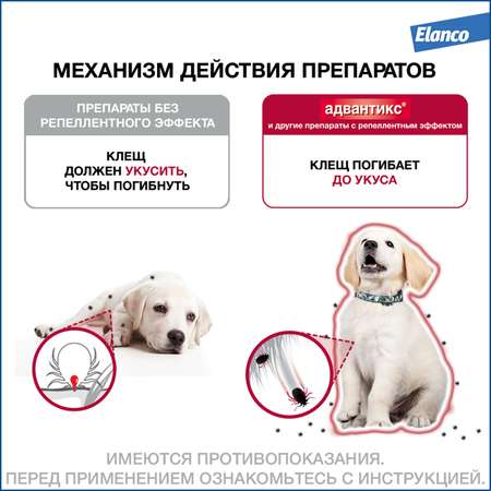 Препарат инсектоакарицидный для собак Elanco Адвантикс 2.5мл 4пипетки