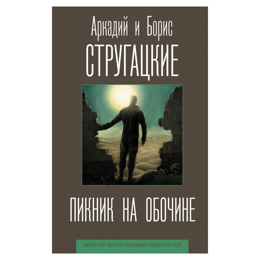 Книга АСТ Пикник на обочине - фото 1