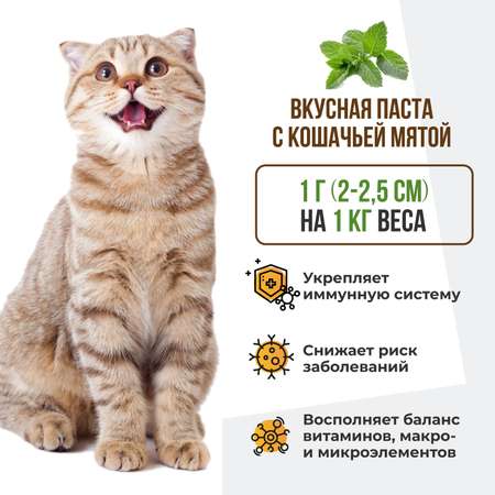 Витамины для кошек Unitabs Immuno Cat с Q10 паста 120мл