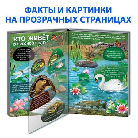 Книга Буква-ленд с прозрачными страницами «Жизнь на земле Животные и где они обитают» 30 стр