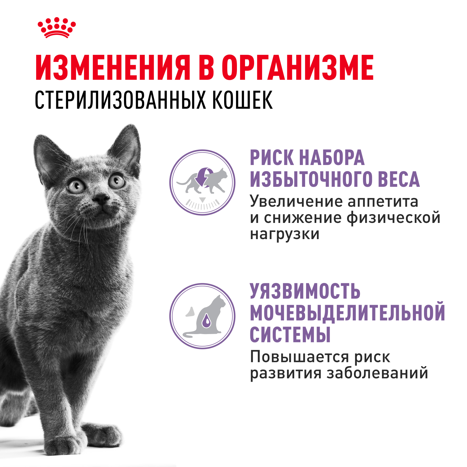 Корм влажный для кошек ROYAL CANIN Sterilised 85г желе - фото 2