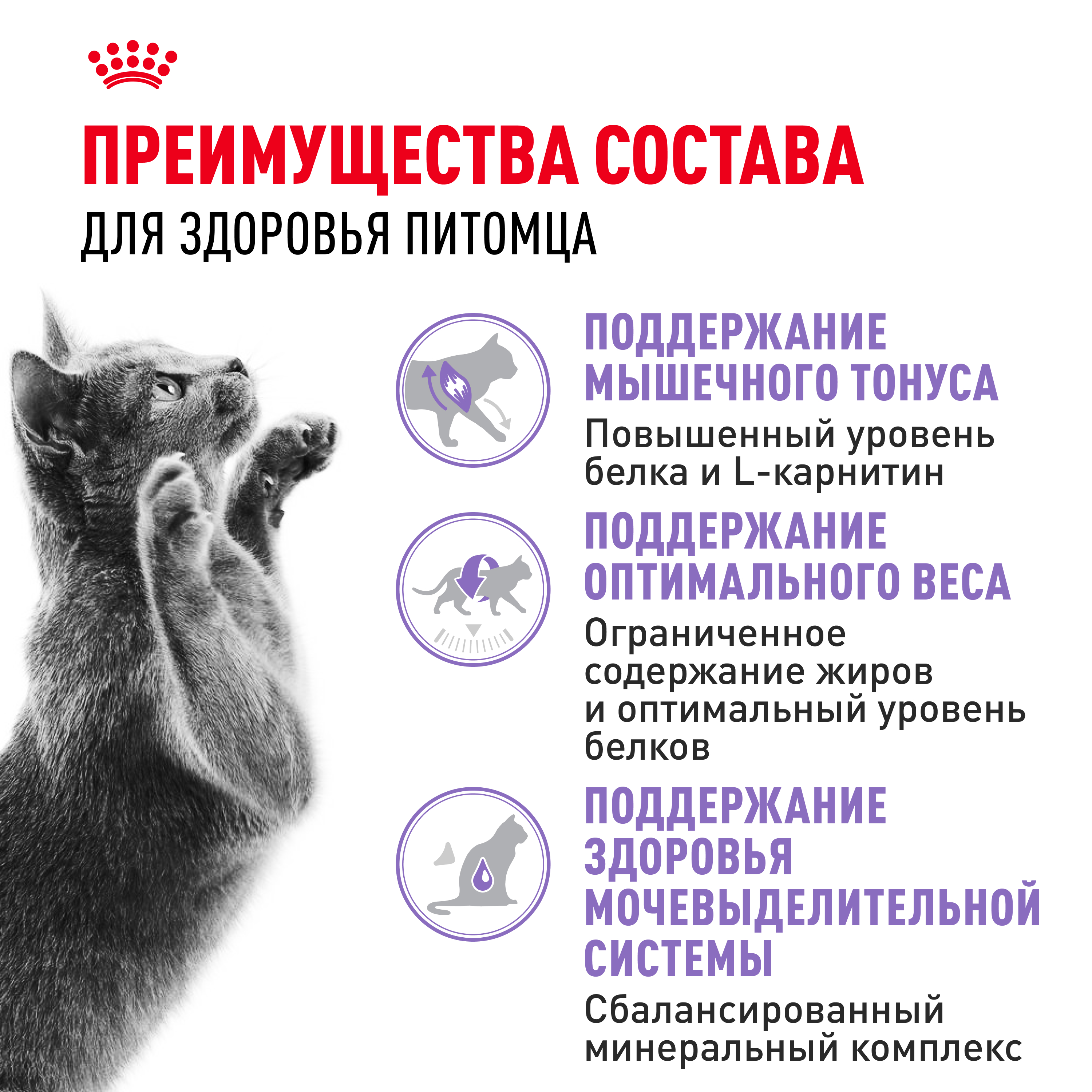Корм сухой ROYAL CANIN Sterilised 37 4кг для стерилизованных кошек - фото 11
