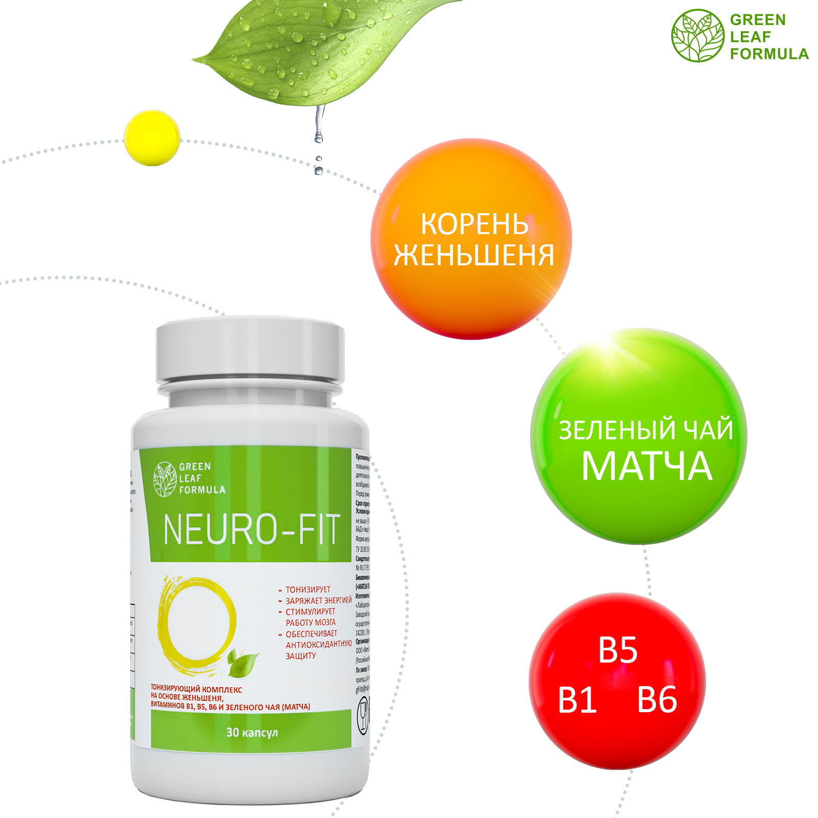 Neuro-Fit витамины для мозга Green Leaf Formula для нервной системы памяти  30 капсул купить по цене 748 ₽ в интернет-магазине Детский мир