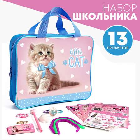 Подарочный набор Школа Талантов школьника «Котик» 13 предметов