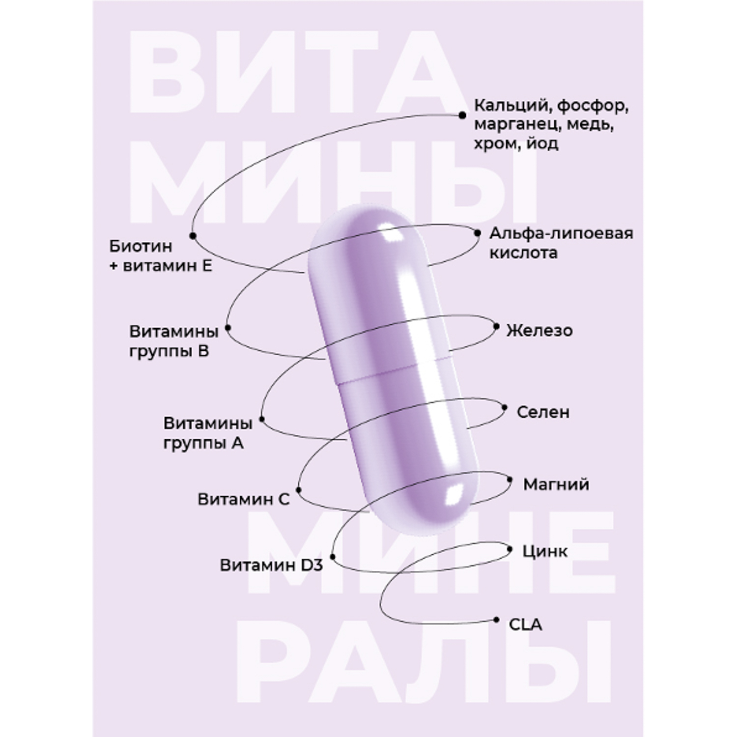 Витамины для женщин Mote / Мотэ Multi daily 60 капсул - фото 4