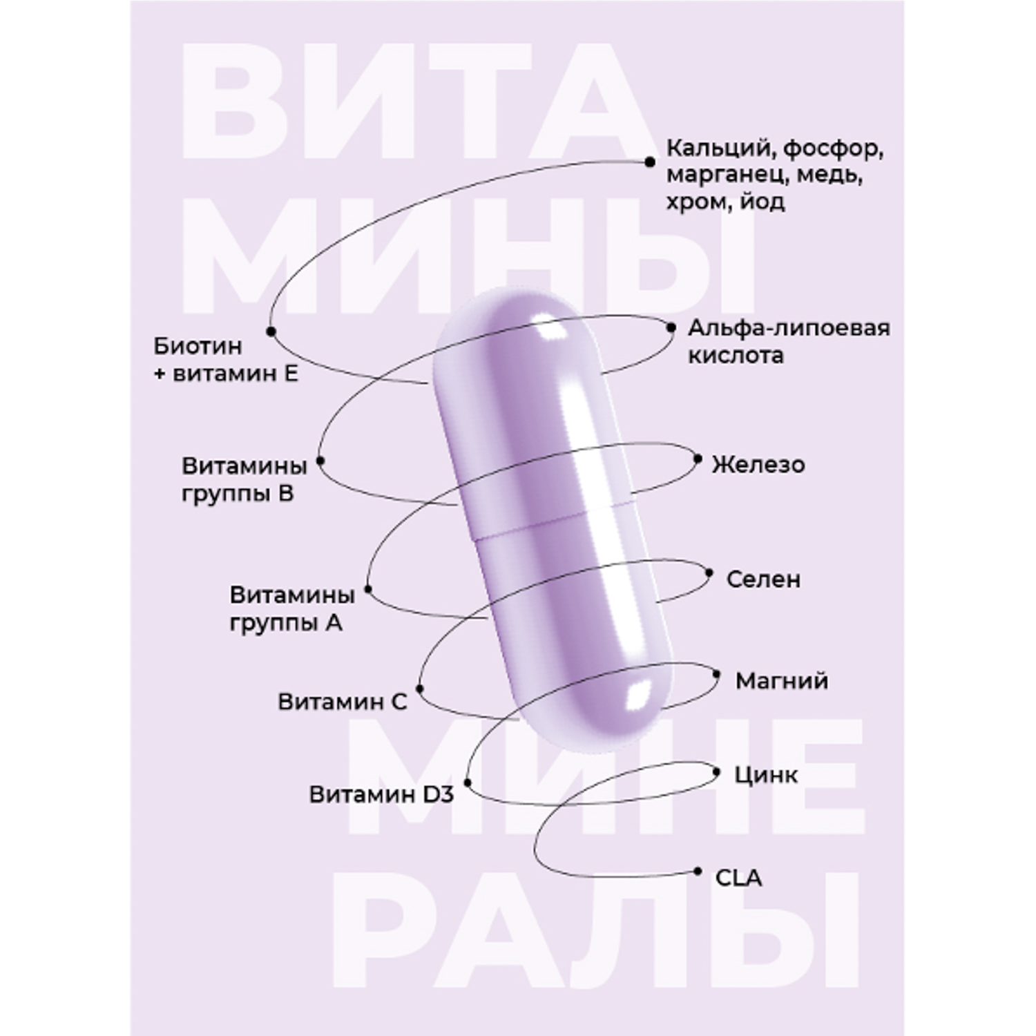 Витамины для женщин Mote / Мотэ Multi daily 60 капсул купить по цене 1089 ₽  в интернет-магазине Детский мир