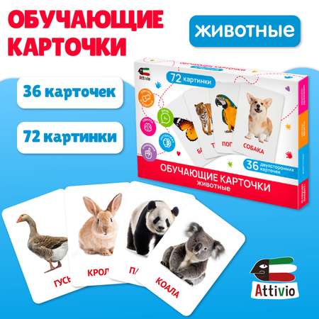 Карточки Attivio обучающие Животные 36 карточек 05650