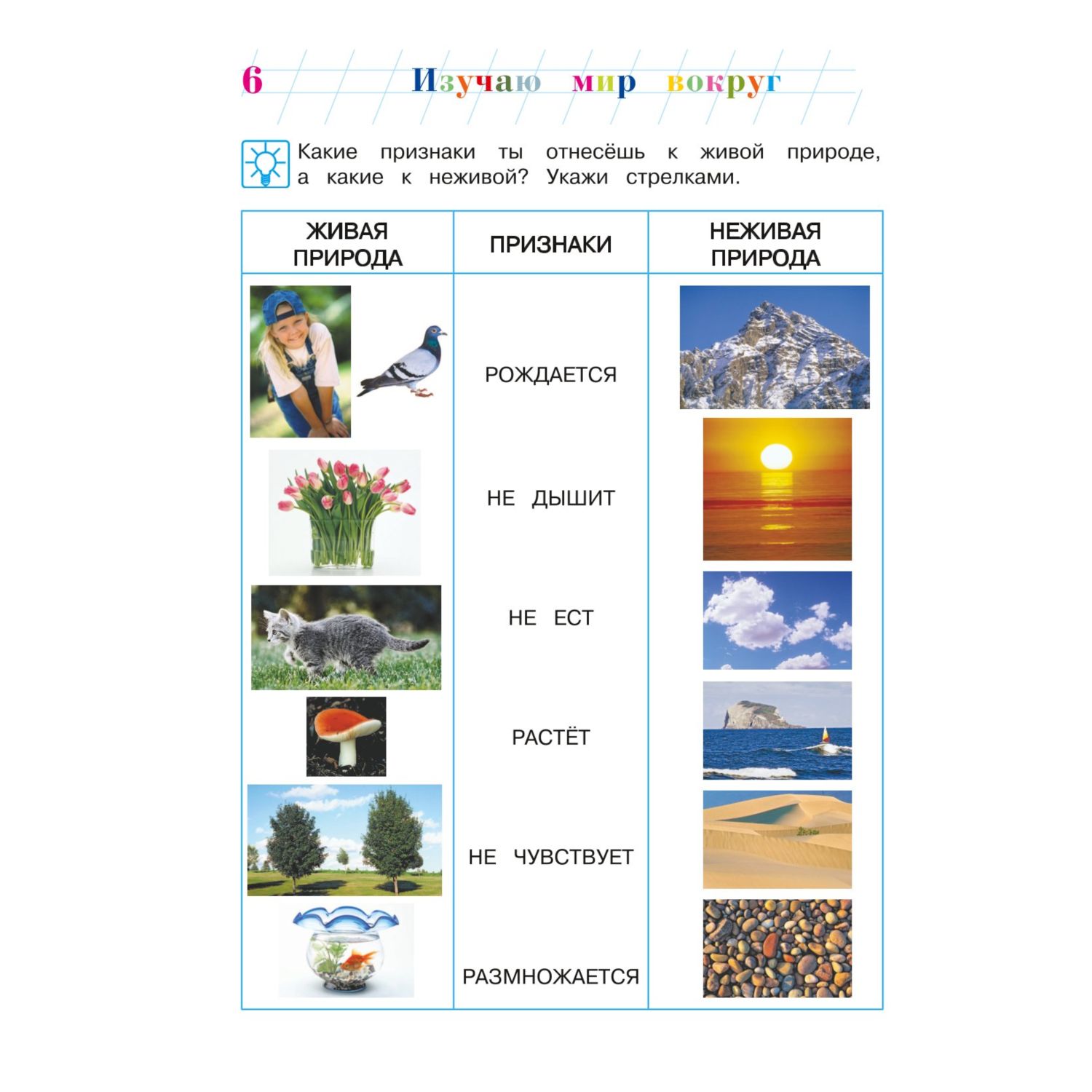 Живая и неживая природа 2 класс окружающий мир проверочная работа