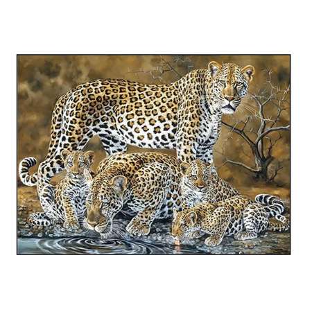 Алмазная мозаика Seichi Леопарды на водопое 40х50 см