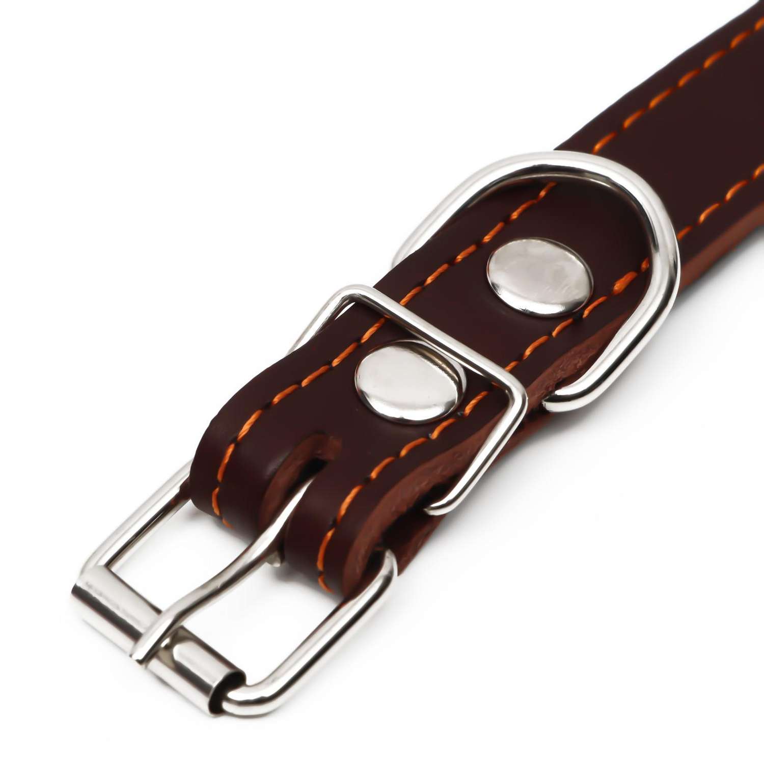 Ошейник Пижон кожаный на синтепоне украшенный 55 х 2.5 см коричневый - фото 4