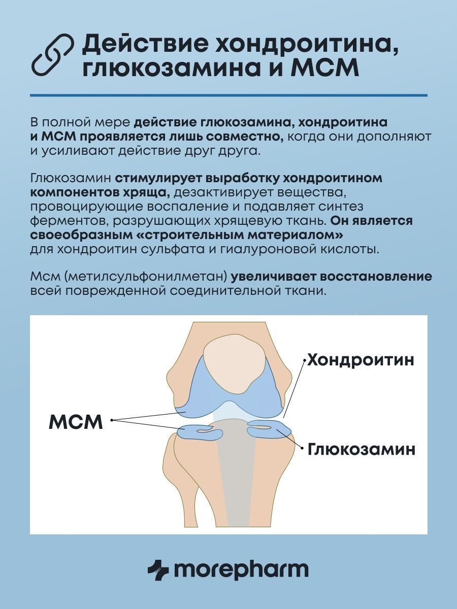 БАД morepharm Гинкго Билоба c глицином и витамином B6 для мозга и памяти - фото 22