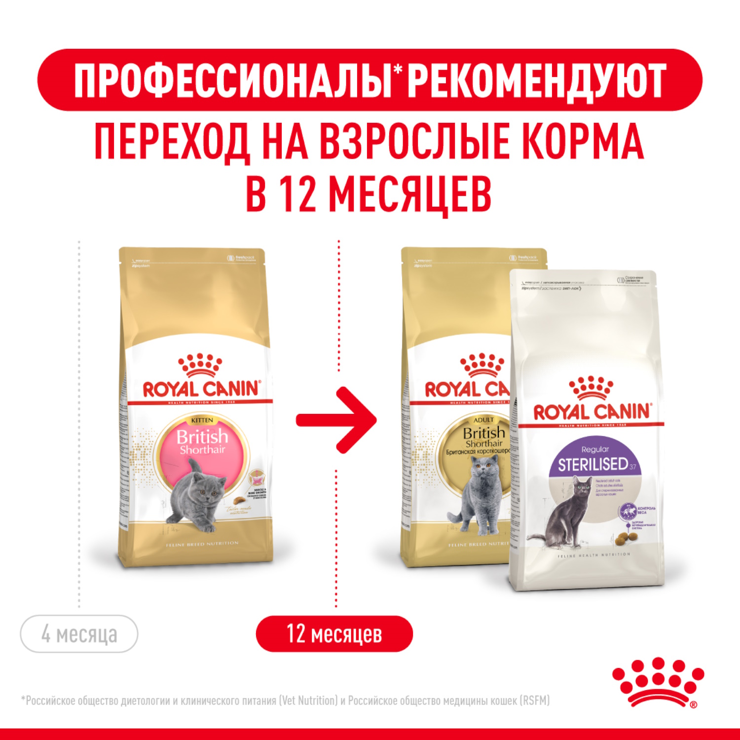 Сухой корм для кошек ROYAL CANIN 0.4 кг (полнорационный) - фото 6