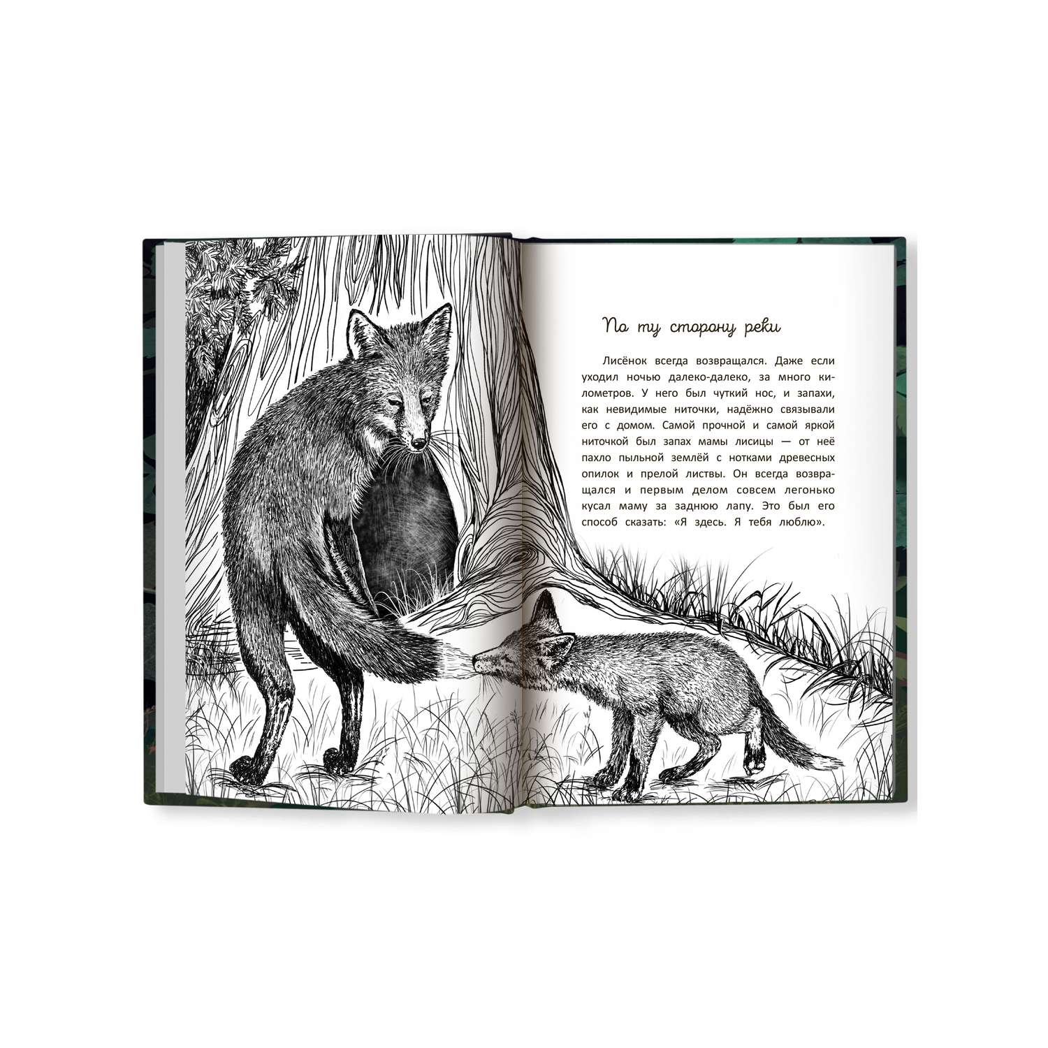 Книга Феникс Премьер Бегущие по кромке леса. Книга про любовь к животным - фото 12