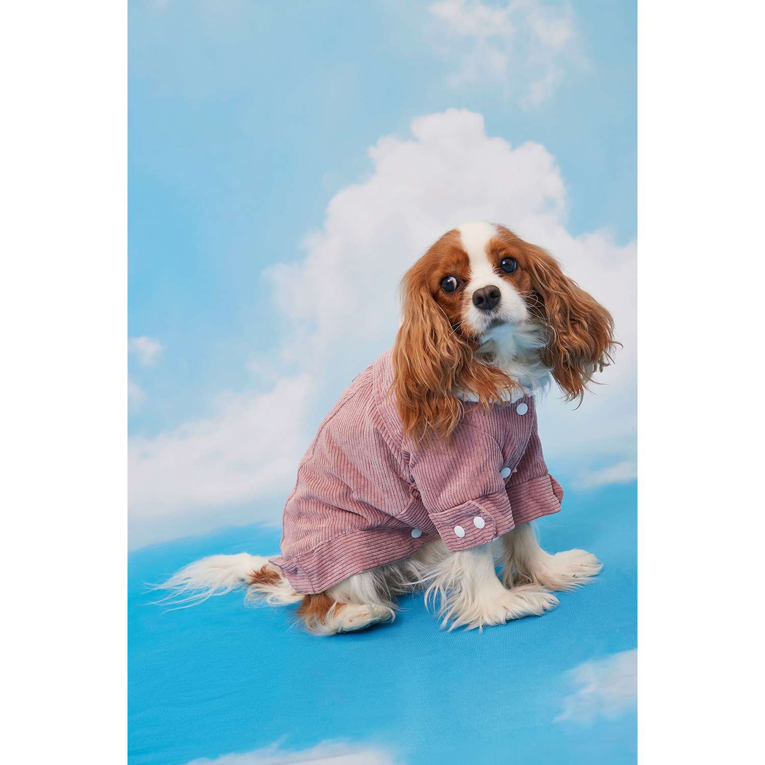 Куртка для собак Зоозавр розовая 25 - фото 17