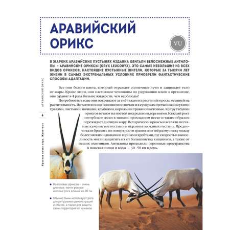 Книга Эксмо Красная книга мира Животные