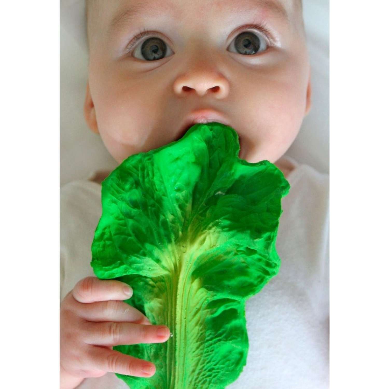 Прорезыватель грызунок OLI and CAROL Kendall The Kale из натурального каучука - фото 2