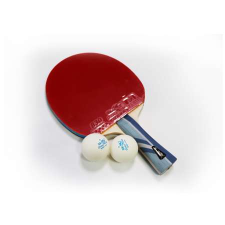 Набор для настольного тенниса Double Fish 3А+С ракетка и 2 мяча