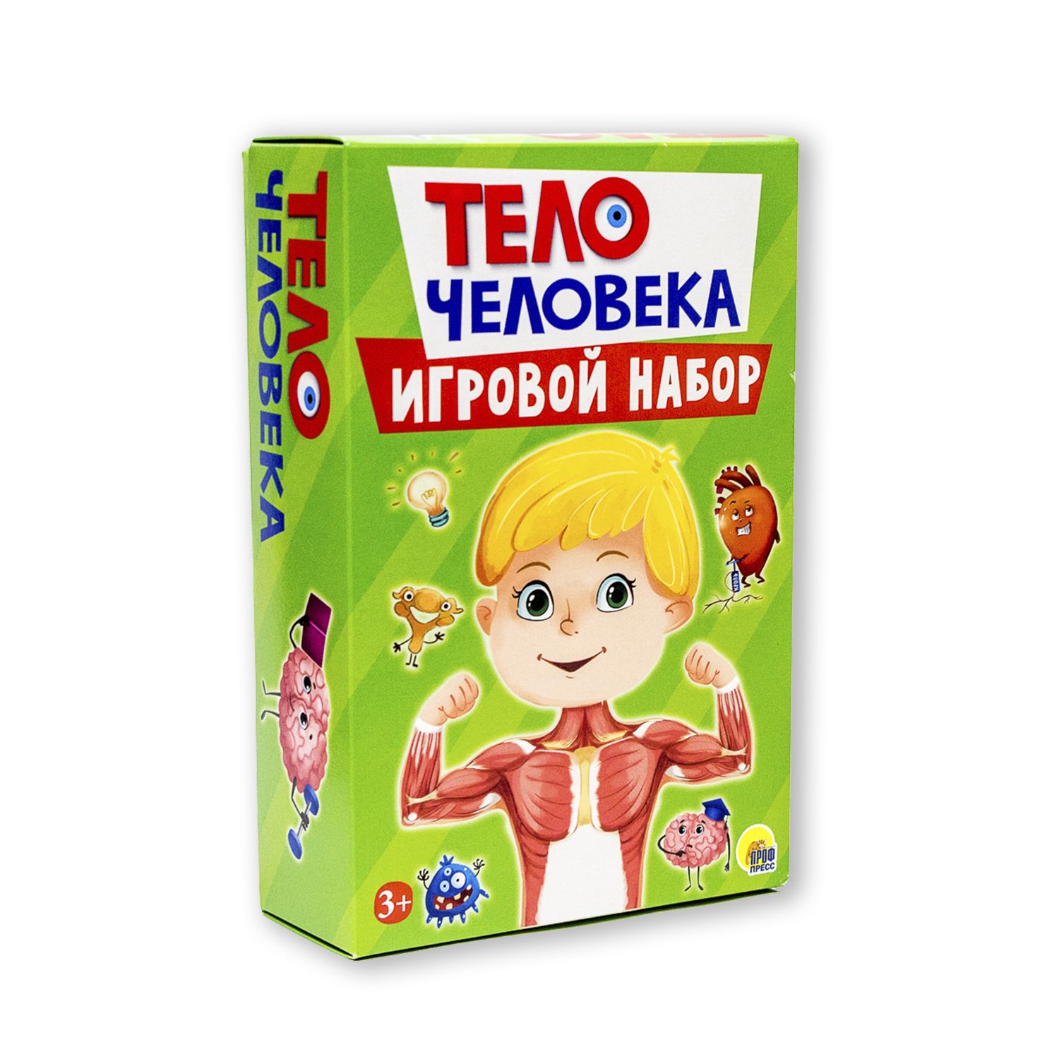 Игровой набор Проф-Пресс 3в1 Тело человека - фото 1