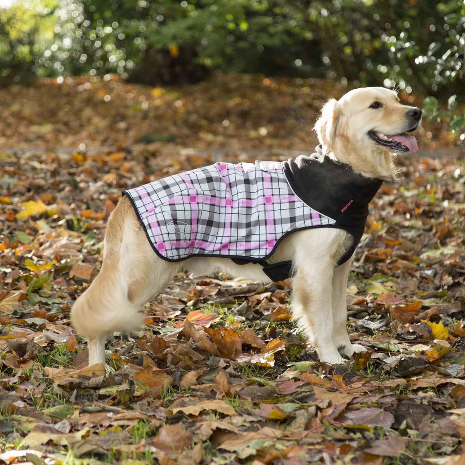 Попона согревающая SCRUFFS Thermal Dog Jacket - фото 5