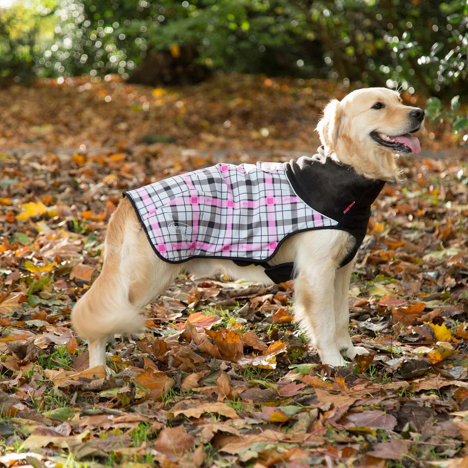 Попона согревающая SCRUFFS Thermal Dog Jacket - фото 5