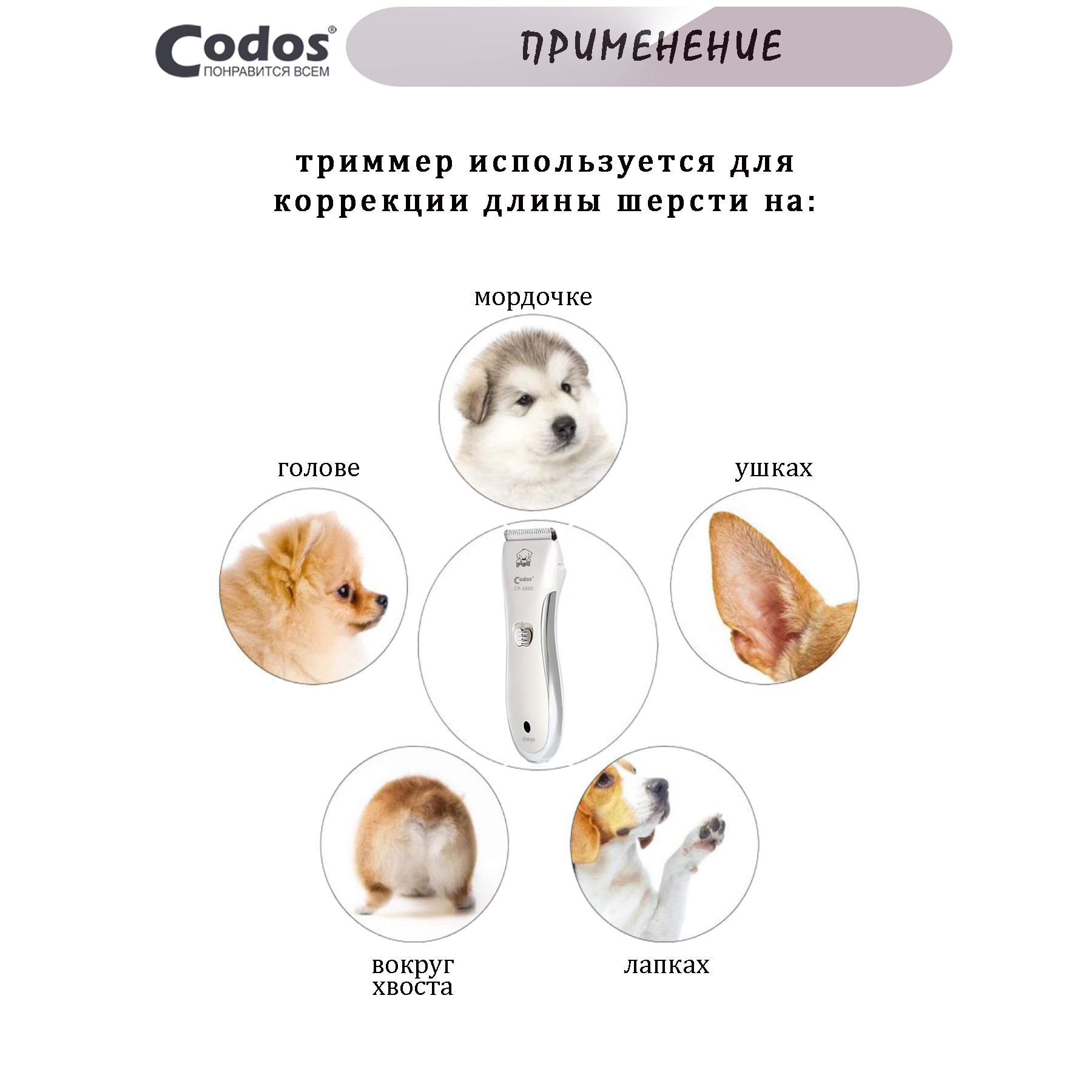 Триммер CODOS для стрижки животных CP-5880 - фото 4