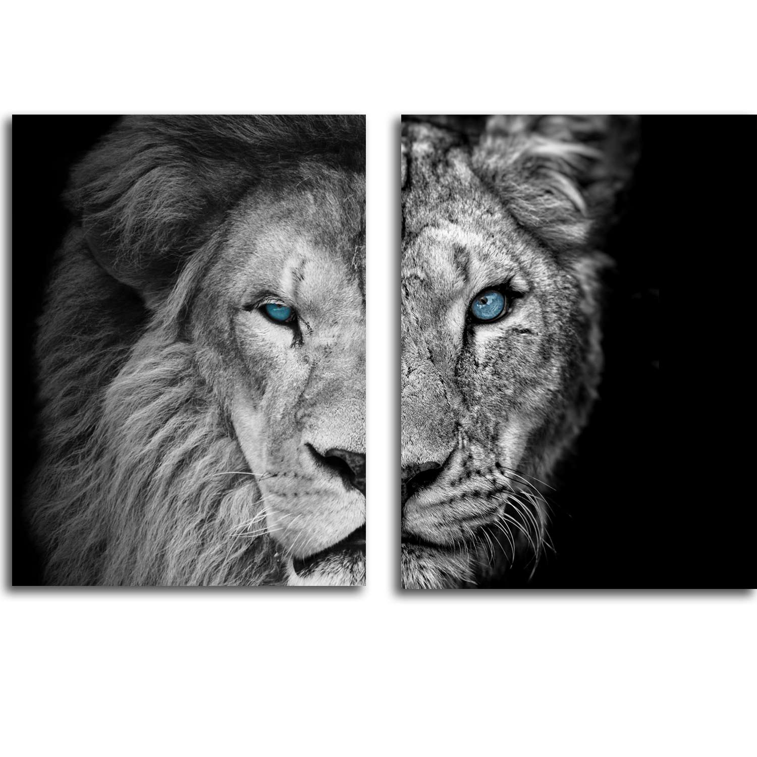 Комплект картин на холсте LOFTime Лев и львица половинки 30*40 - фото 1