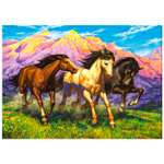 Картина по номерам Рыжий кот Резвые лошади 40х50 см