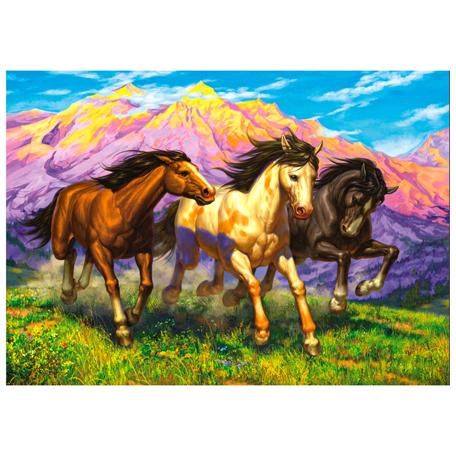 Картина по номерам Рыжий кот Резвые лошади 40х50 см - фото 1