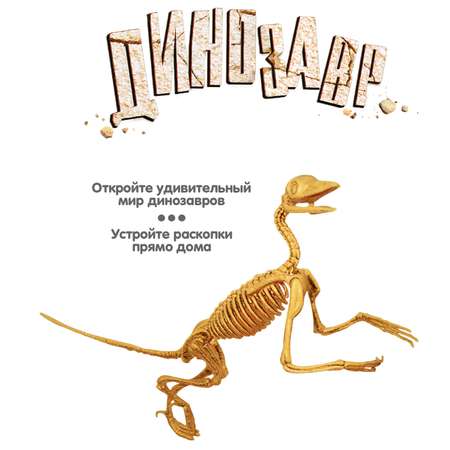 Набор для раскопок BONDIBON Динозавр археоптерикс 3D скелет