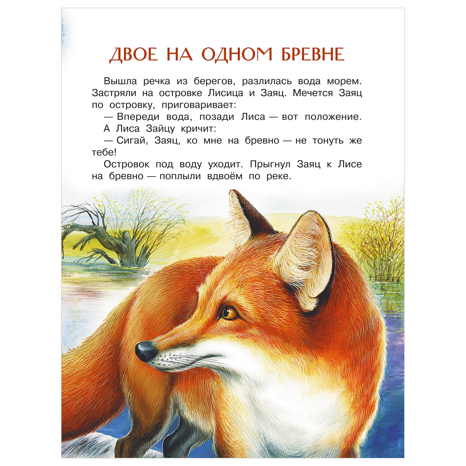 Книга Бюро лесных услуг - фото 5