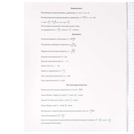 Набор предметных тетрадей Prof-Press Физика Золото знаний А5 48 листов 4 шт