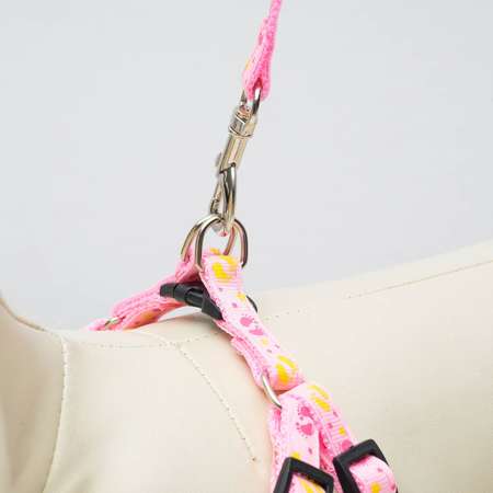 Комплект для собаки Пижон «Цветные следы» поводок 120 см шлейка 23-35 см розовый